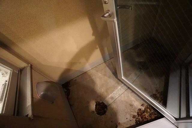 シャワールーム