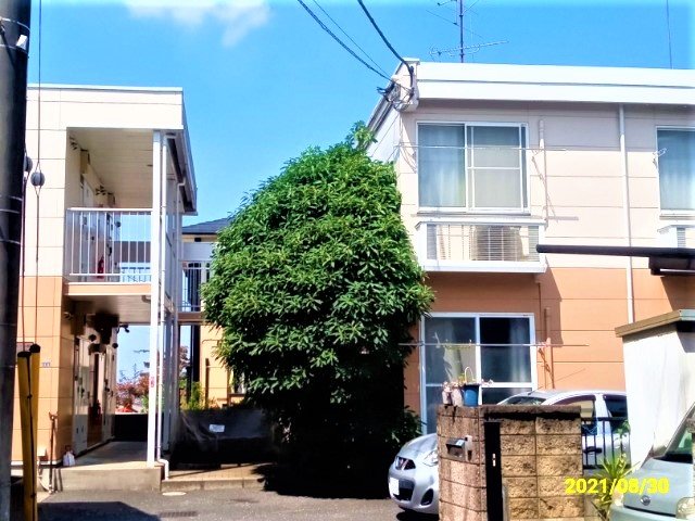 部屋画像